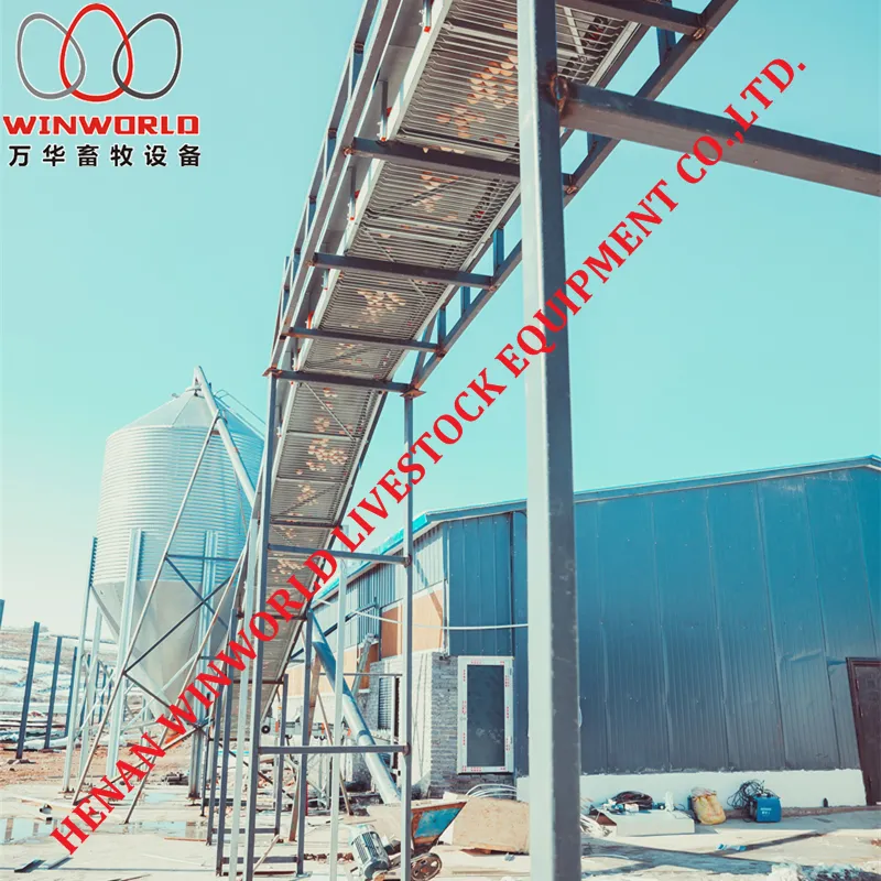 Best Sale Automatic Chicken House Design for Layers Poultry Farm