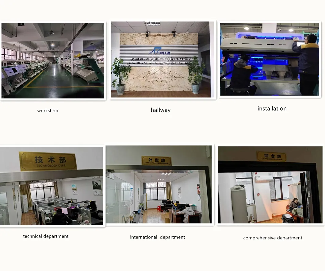 Bida Food Equipment Barley Processing Machinery Barley Grain Color Sorter with Digital Camera