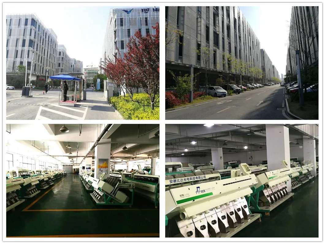 Bida Food Equipment Barley Processing Machinery Barley Grain Color Sorter with Digital Camera