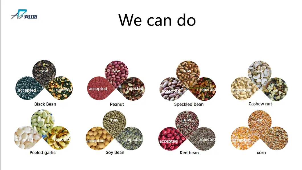 Bida Food Equipment Barley Processing Machinery Barley Grain Color Sorter with Digital Camera