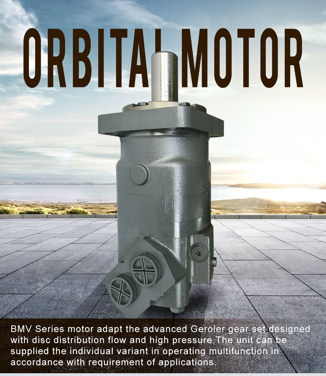 Bmv Omv Bm6 Hydraulic Drive Wheel Motor 315cc 400cc 500cc 630cc 800cc 1000cc Hydraulic Engine