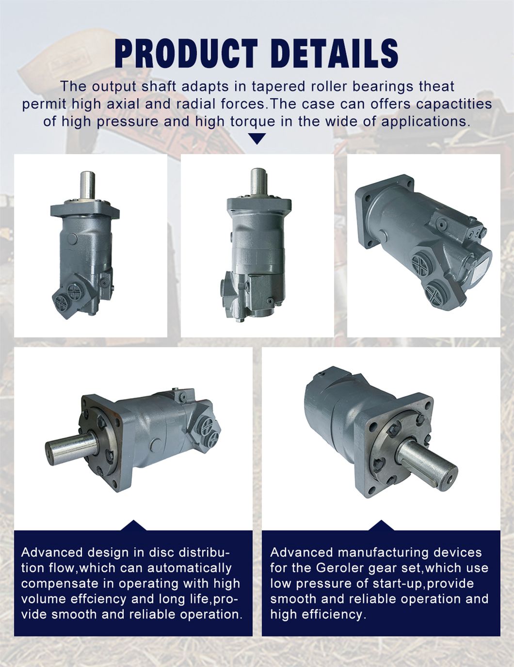 Bmv Omv Bm6 Hydraulic Drive Wheel Motor 315cc 400cc 500cc 630cc 800cc 1000cc Hydraulic Engine