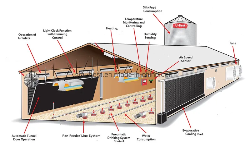 CE Approved Automatic Poultry Feeding Equipment for Farming Broiler Chicken