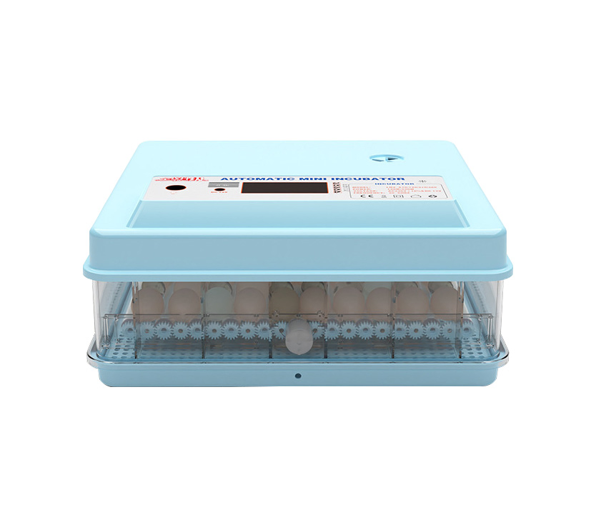 CE Approved Reptile Chickens Egg Incubator 12V 220V for Hatching 280 Eggs