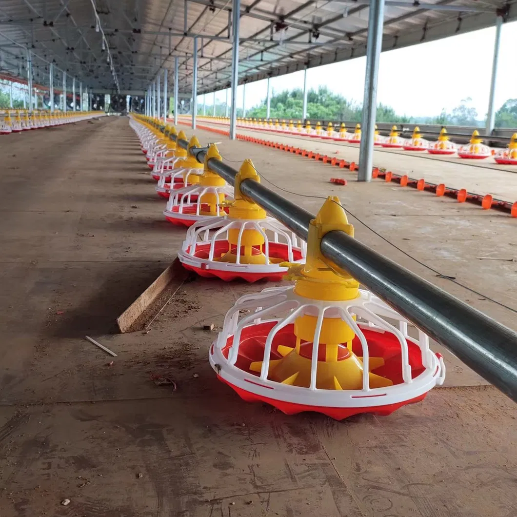 Chicken Farm Equipment Automatic for Chicken House Poultry Farm Livestock