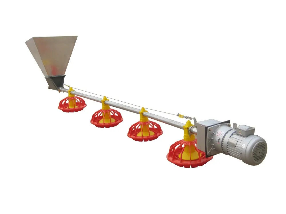 Chicken Farm Equipment Automatic for Chicken House Poultry Farm Livestock