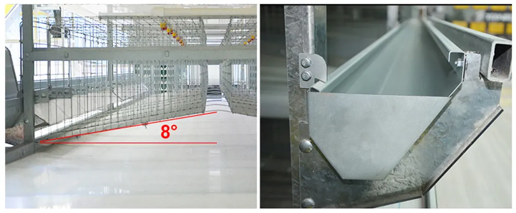 Chicken laying hens poultry battery cages for sale