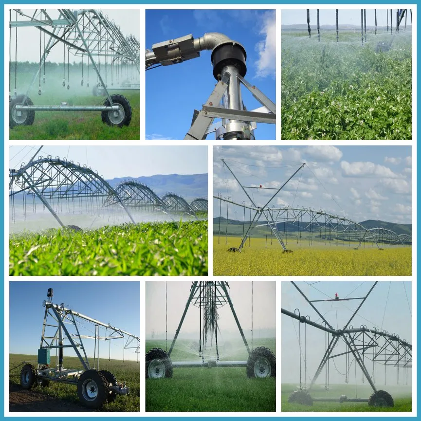China Irrigation Machine/Farm Center Pivot Irrigation System