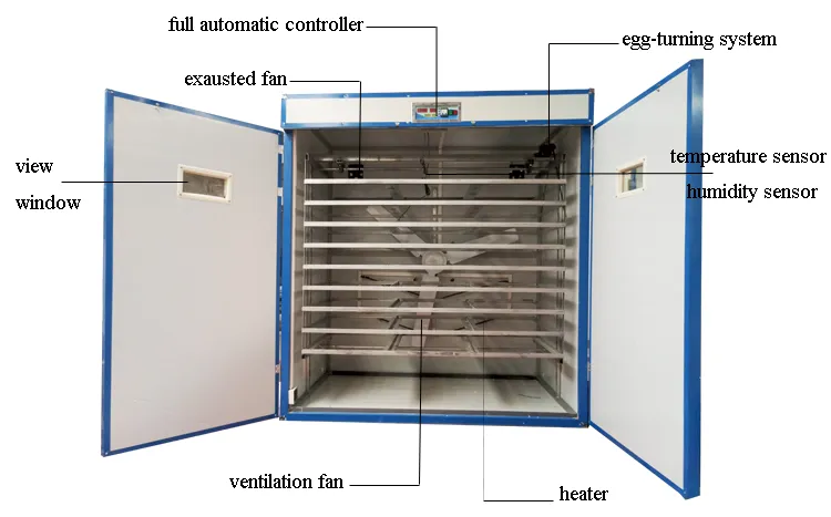 China Supplied Digital Reptile Parrot Chicken Eggs Incubator Hatching Machine