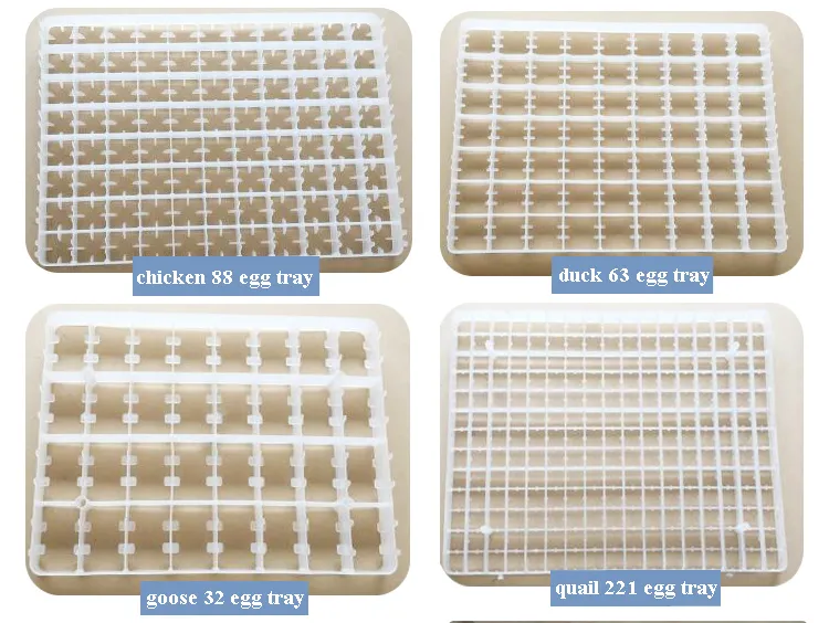 China Supplied Digital Reptile Parrot Chicken Eggs Incubator Hatching Machine