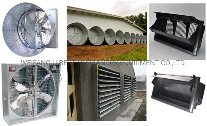 Completely Automatic Used Poultry House Chicken Farming Equipment for Sale
