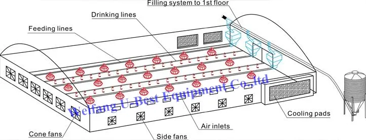Completely Automatic Used Poultry House Chicken Farming Equipment for Sale