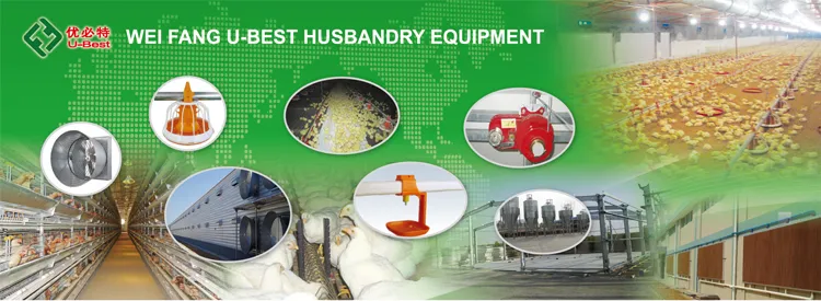 Completely Automatic Used Poultry House Chicken Farming Equipment for Sale
