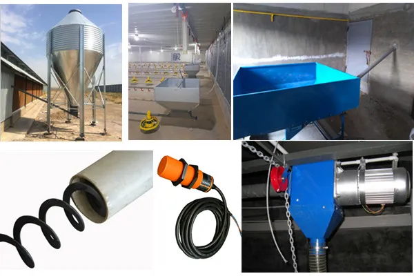 Completely Automatic Used Poultry House Chicken Farming Equipment for Sale