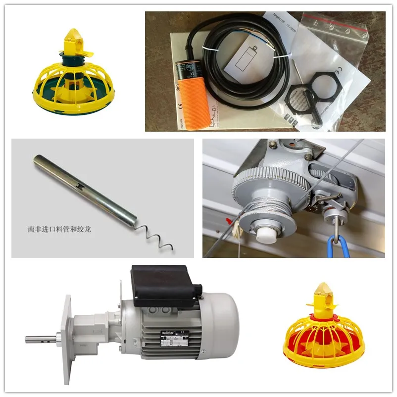 Completely Automatic Used Poultry House Chicken Farming Equipment for Sale
