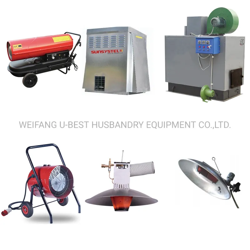 Completely Automatic Used Poultry House Chicken Farming Equipment for Sale