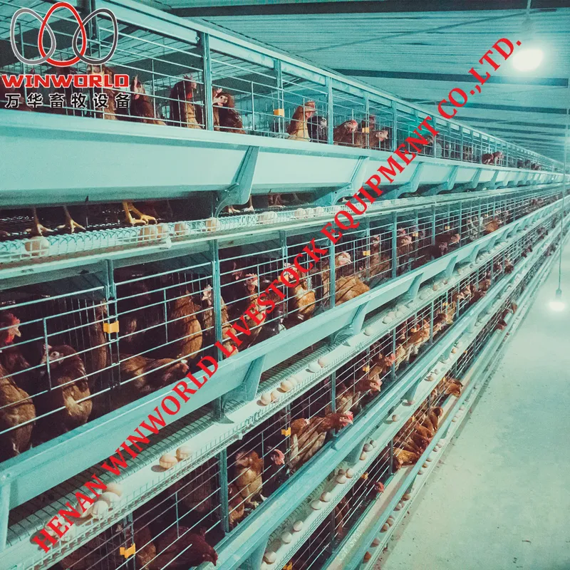 Dar Es Salaam Tanzania Poultry Farm Best Sale Chicken Layer Cages