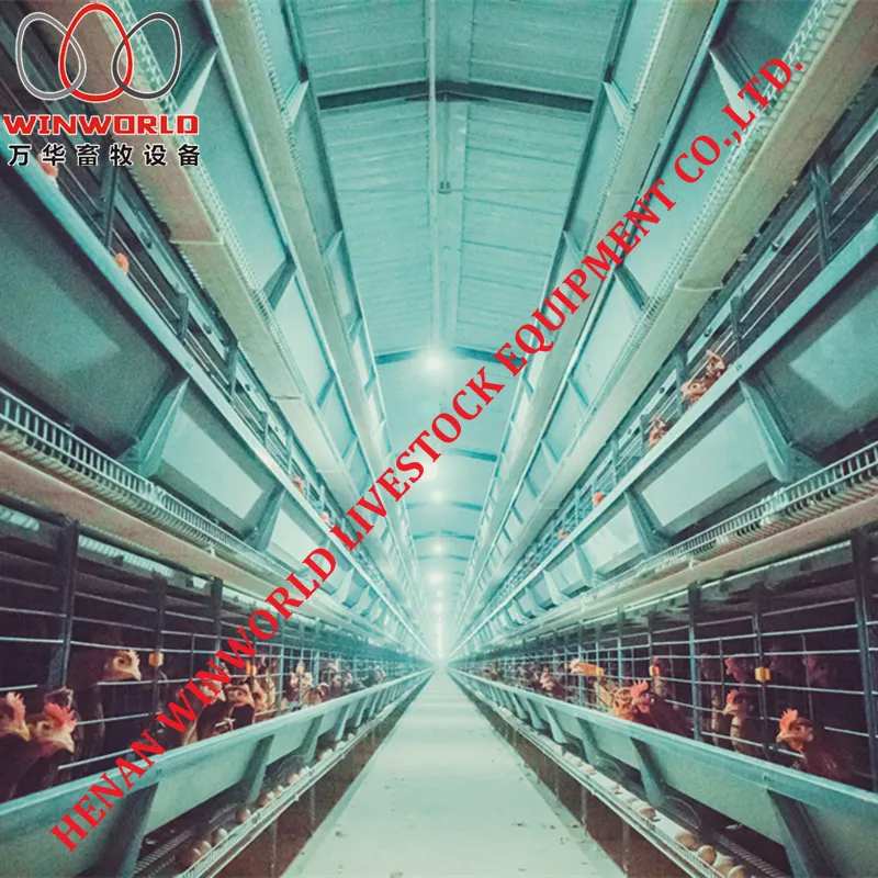 Dar Es Salaam Tanzania Poultry Farm Best Sale Chicken Layer Cages