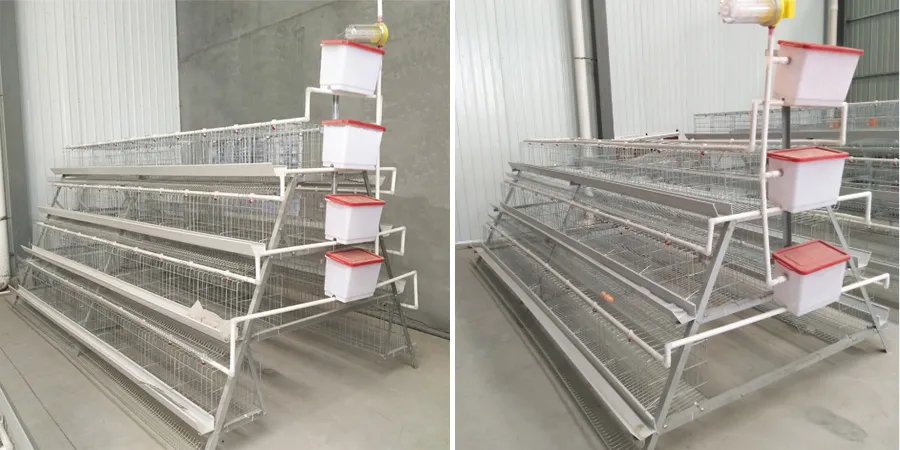 Dar Es Salaam Tanzania Poultry Farm Best Sale Chicken Layers Battery Cages