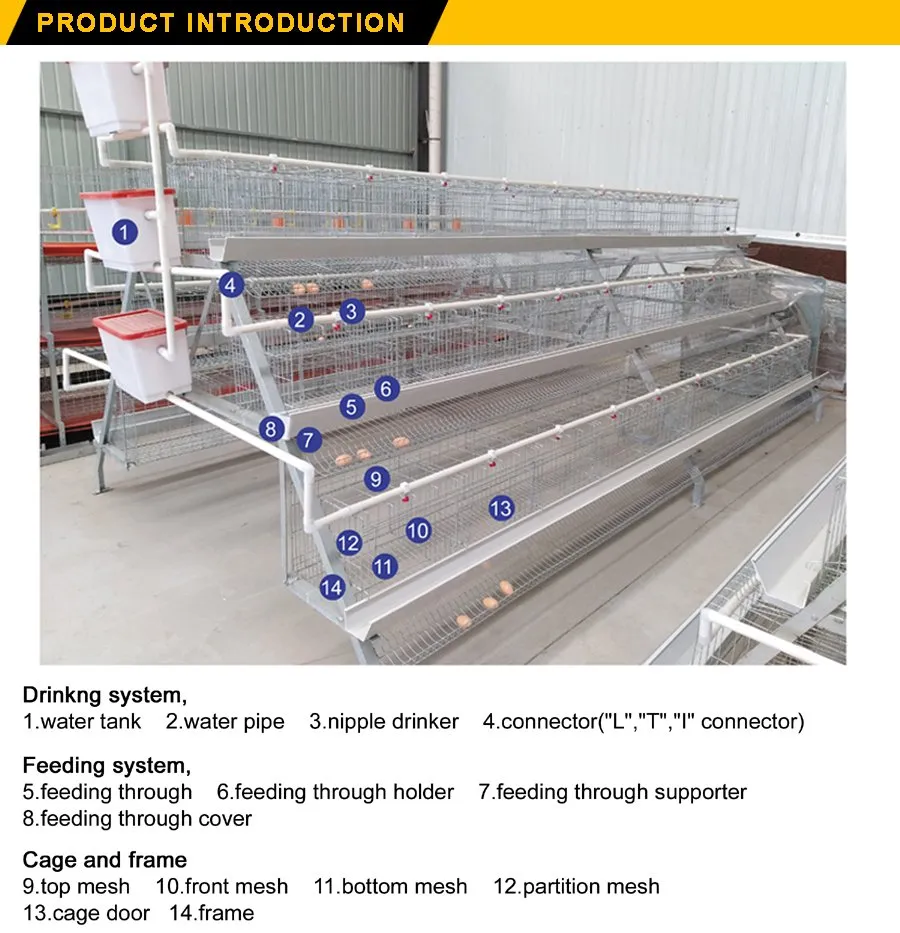 Dar Es Salaam Tanzania Poultry Farm Best Sale Chicken Layers Battery Cages