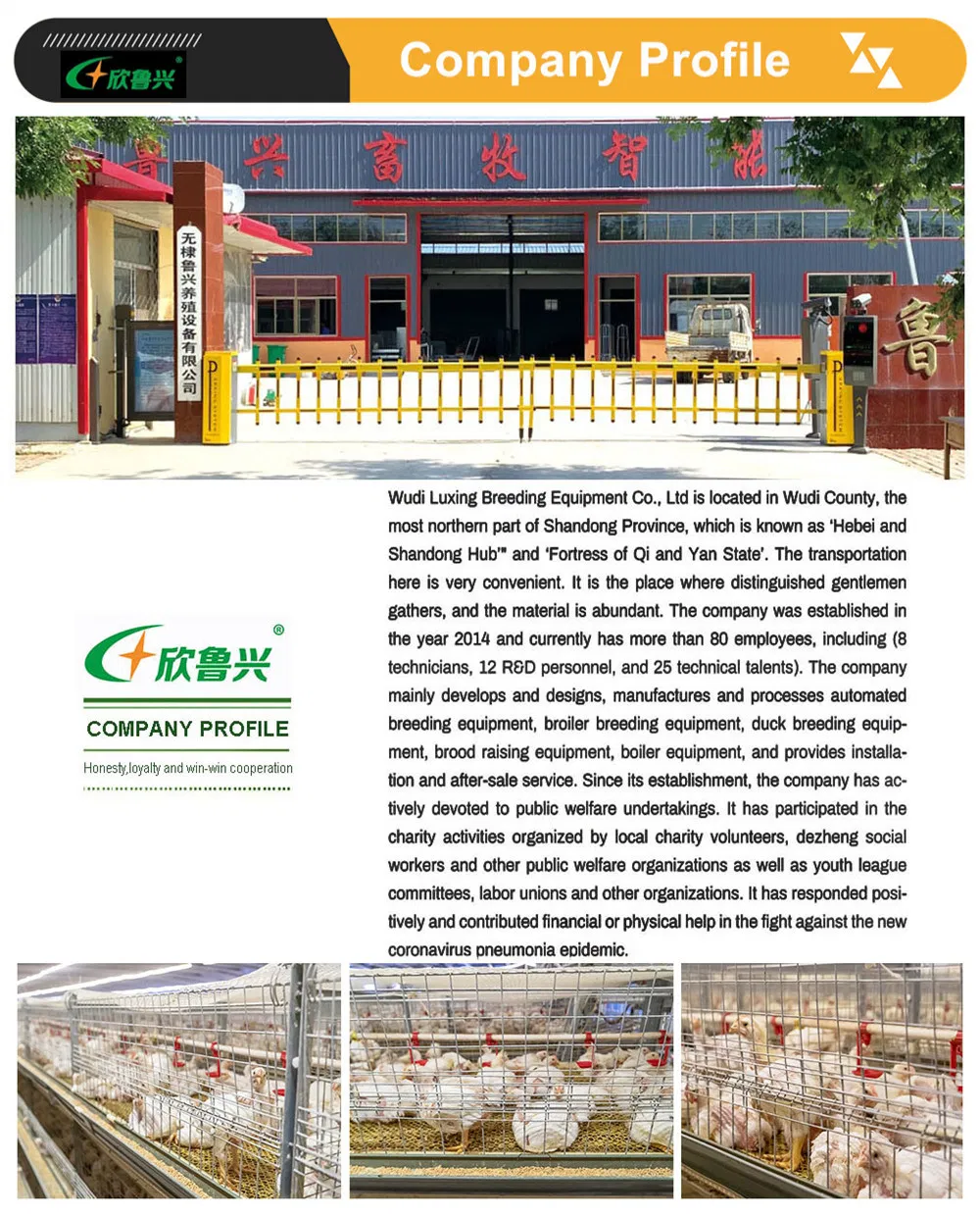 Dar Es Salaam Tanzania Poultry Farm Chicken Layers Battery Cages