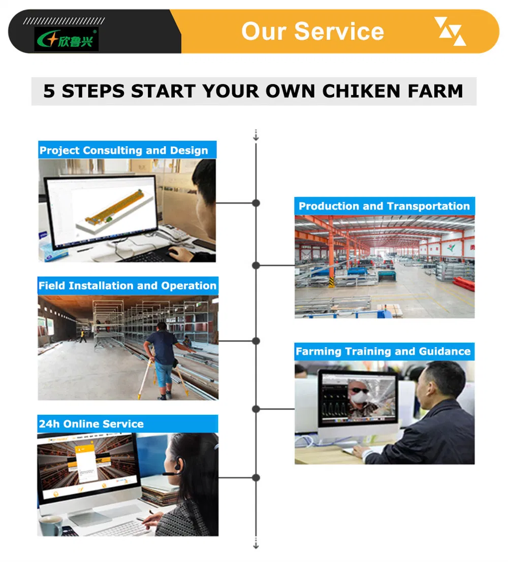 Dar Es Salaam Tanzania Poultry Farm Chicken Layers Battery Cages