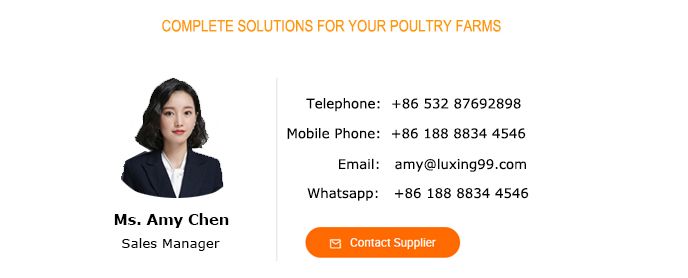 Dorking Breeding Cage Vertical Dairy Farm Equipment for Broilers Automatic Breeds of Chicken