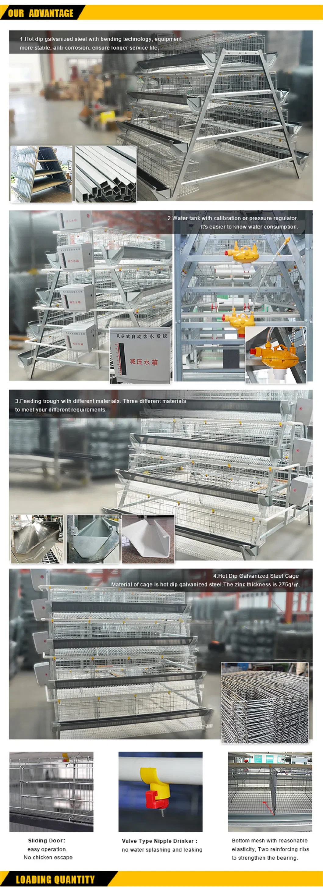 Durable hot-dip galvanized 3 tiers egg layer chicken cages