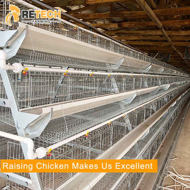 Durable hot-dip galvanized 3 tiers egg layer chicken cages
