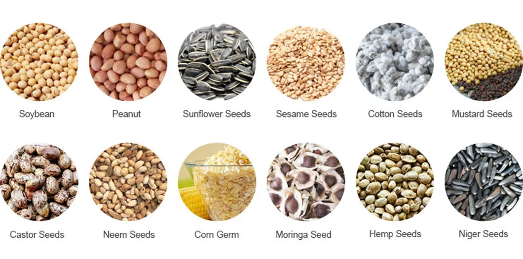 Edible Cooking Corn Germ Oil Squeezing Machine in Oil Production Plant