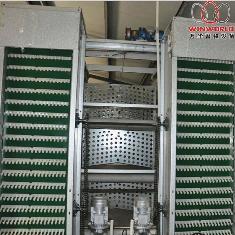 Ethiopia Poultry Farming H Type Male Female Breeder Chicken Cages with 140 Birds with Automatic Feed Machine