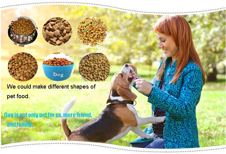Factory Direct Top Quality Cat Food Extruder Machine