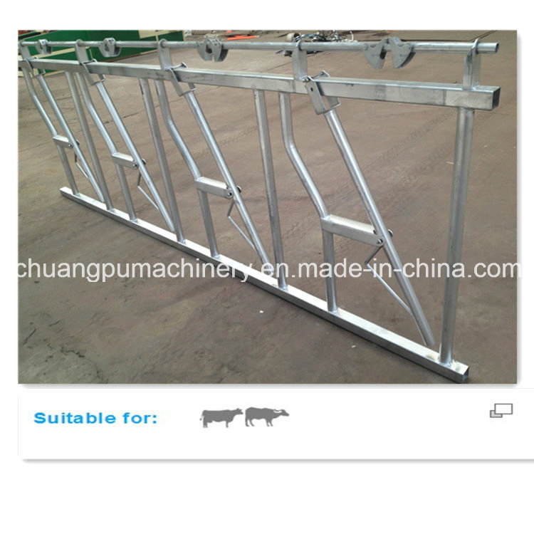 Farm Cattle Head Lock with 750mm Width