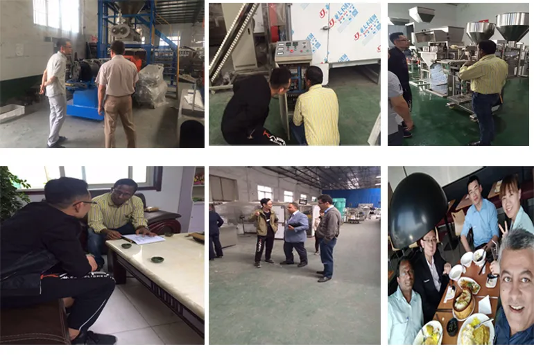 Floating and Sinking Fish Feed Pellet Extruder Machines