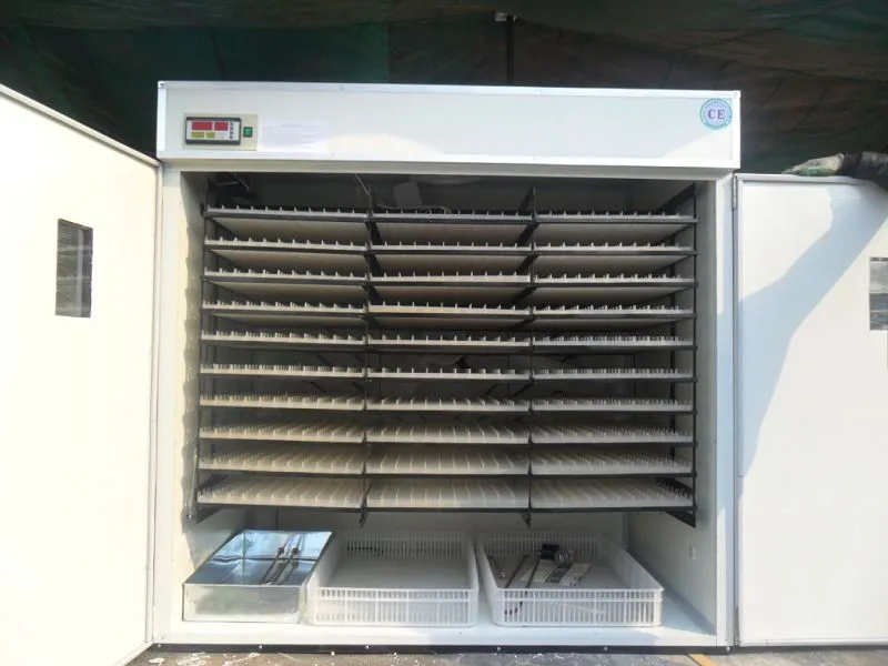 Full Automatic Holding 5280 Eggs Professional Egg Incubator (KP-25)