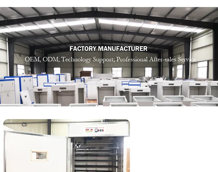 Full Automatic Poultry Quail Chicken Egg Incubator Equipment Machine