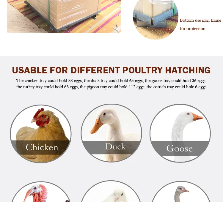 Full Automatic Poultry Quail Chicken Egg Incubator Equipment Machine