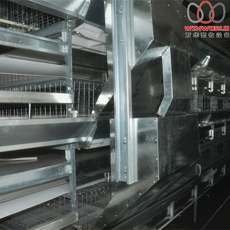 Gambia H Type Battery Chicken Cage & Battery Poultry Cage with 168 Birds for Chicken Shed