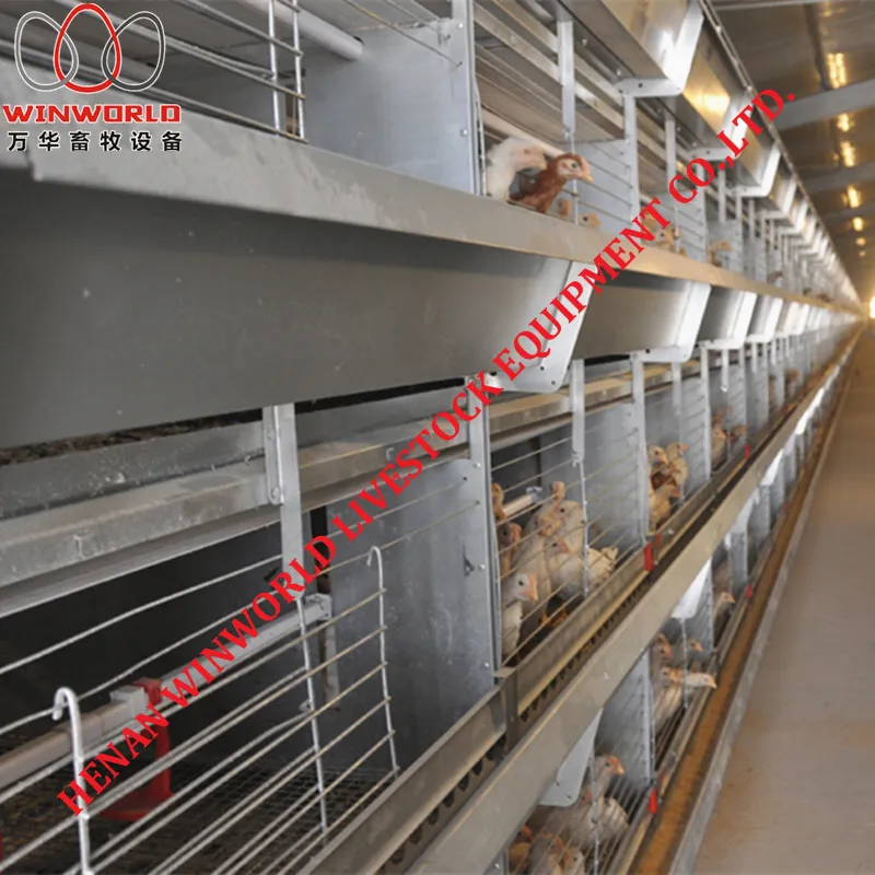 Gambia H Type Battery Chicken Cage & Battery Poultry Cage with 168 Birds for Chicken Shed
