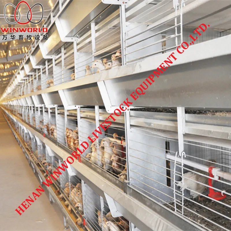 Gambia H Type Battery Chicken Cage & Battery Poultry Cage with 168 Birds for Chicken Shed