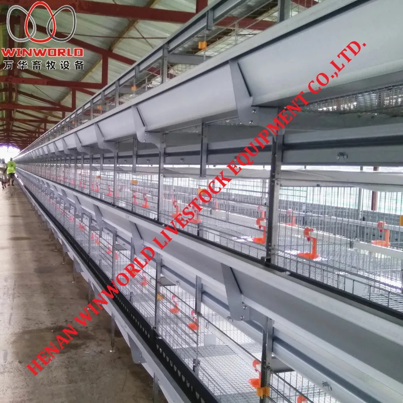 Gambia H Type Battery Chicken Cage & Battery Poultry Cage with 168 Birds for Chicken Shed