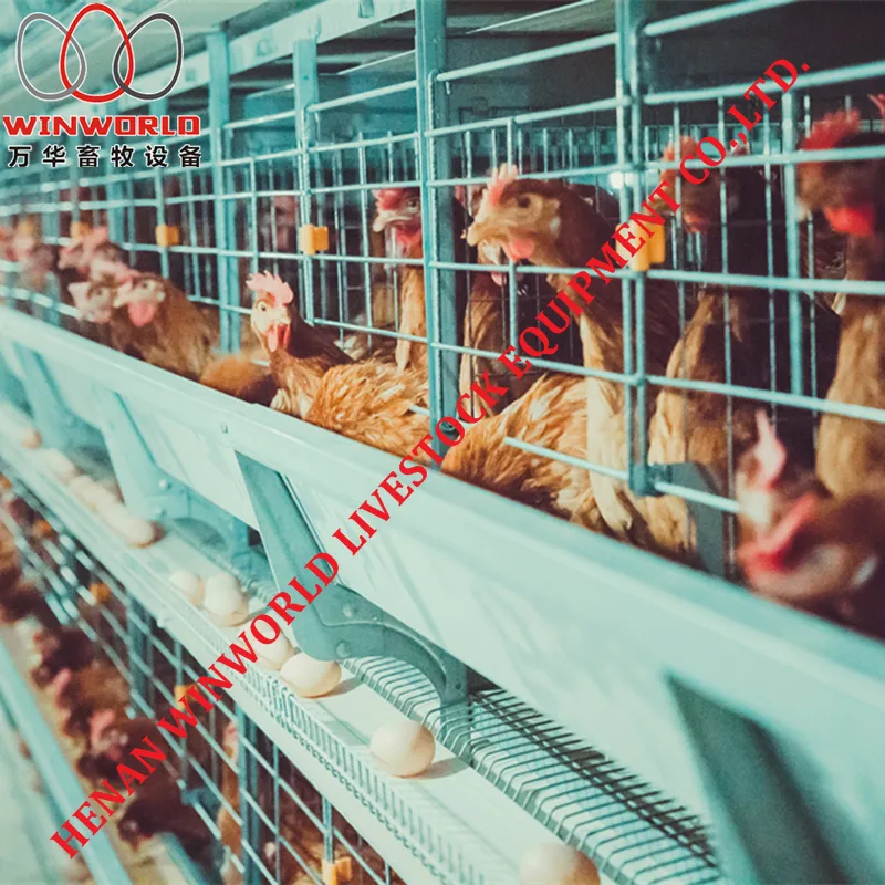 Good Price Galvanizing Poultry Farm Equipment Layer Chicken Battery Cage for Sale