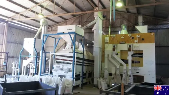 Green Mung Kidney Lentil Bean Cleaning and Grading Plant