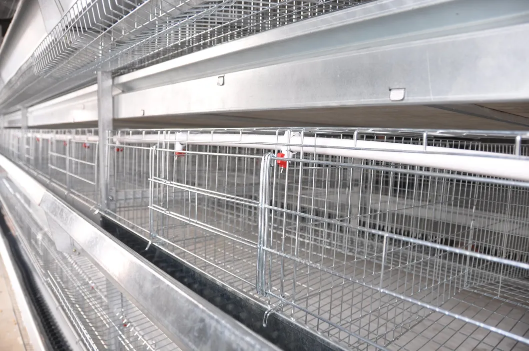 H Frame Battery Chicken Layer Cage Poultry Farm Equipment