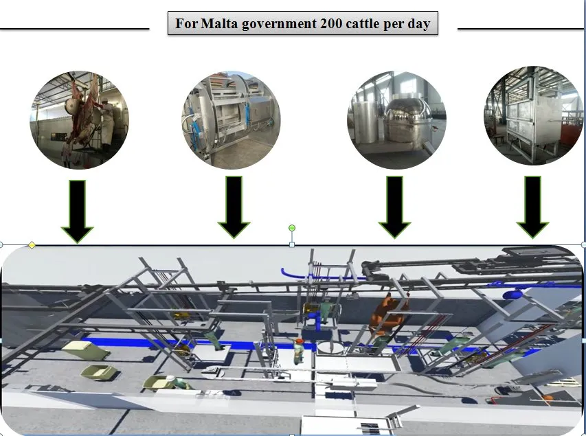 Halal Slaughter of Pigs, Cattle, Sheep and Poultry