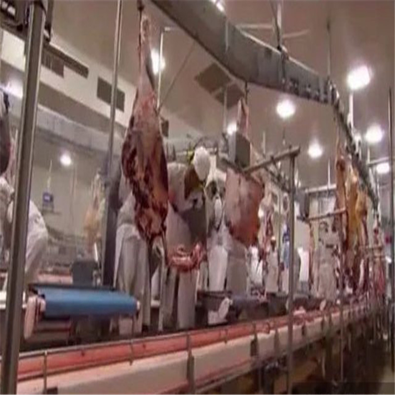 Halal Slaughter of Pigs, Cattle, Sheep and Poultry