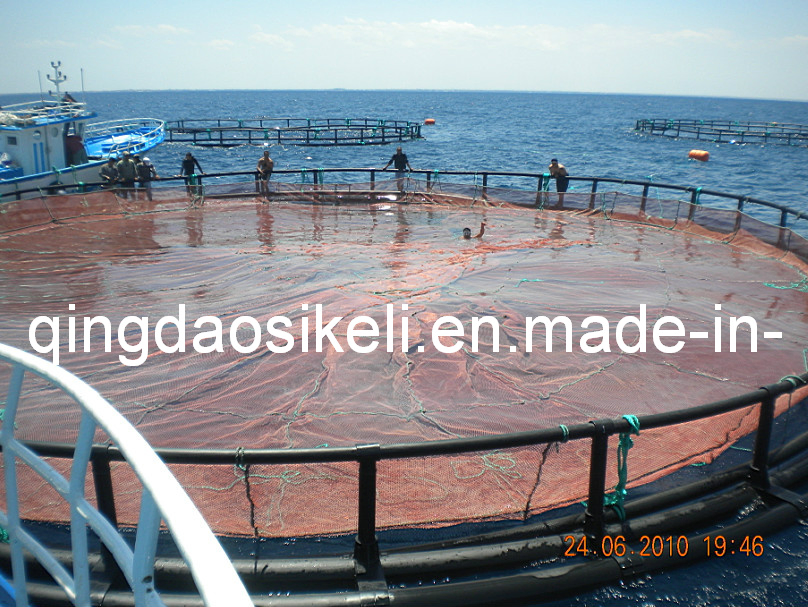 HDPE 25m Cage Flottant