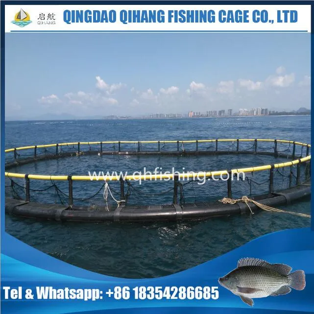 HDPE Cage Fish Farming in Volta Lake