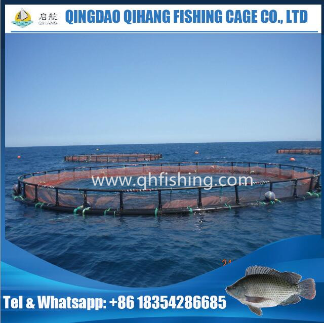 HDPE Cage Fish Farming in Volta Lake