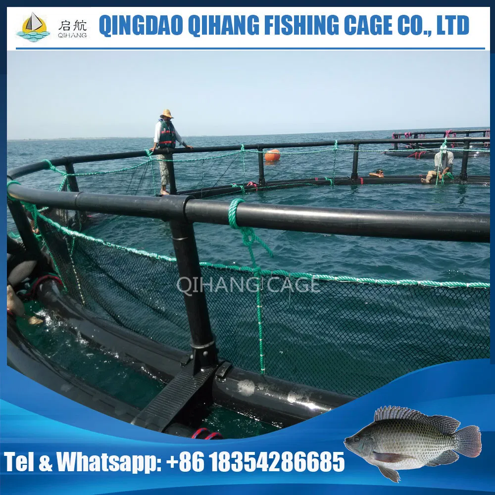 HDPE Fish Cage for Sea Bass and Sea Bream Fish Farming